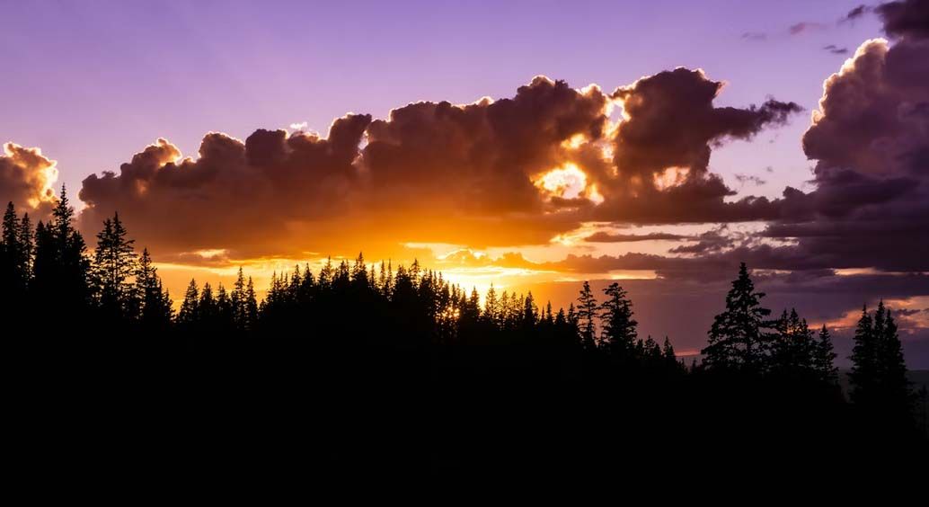 Indianapolis-+IN+funeral+homes